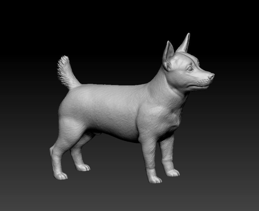 Få 3D printet din hund