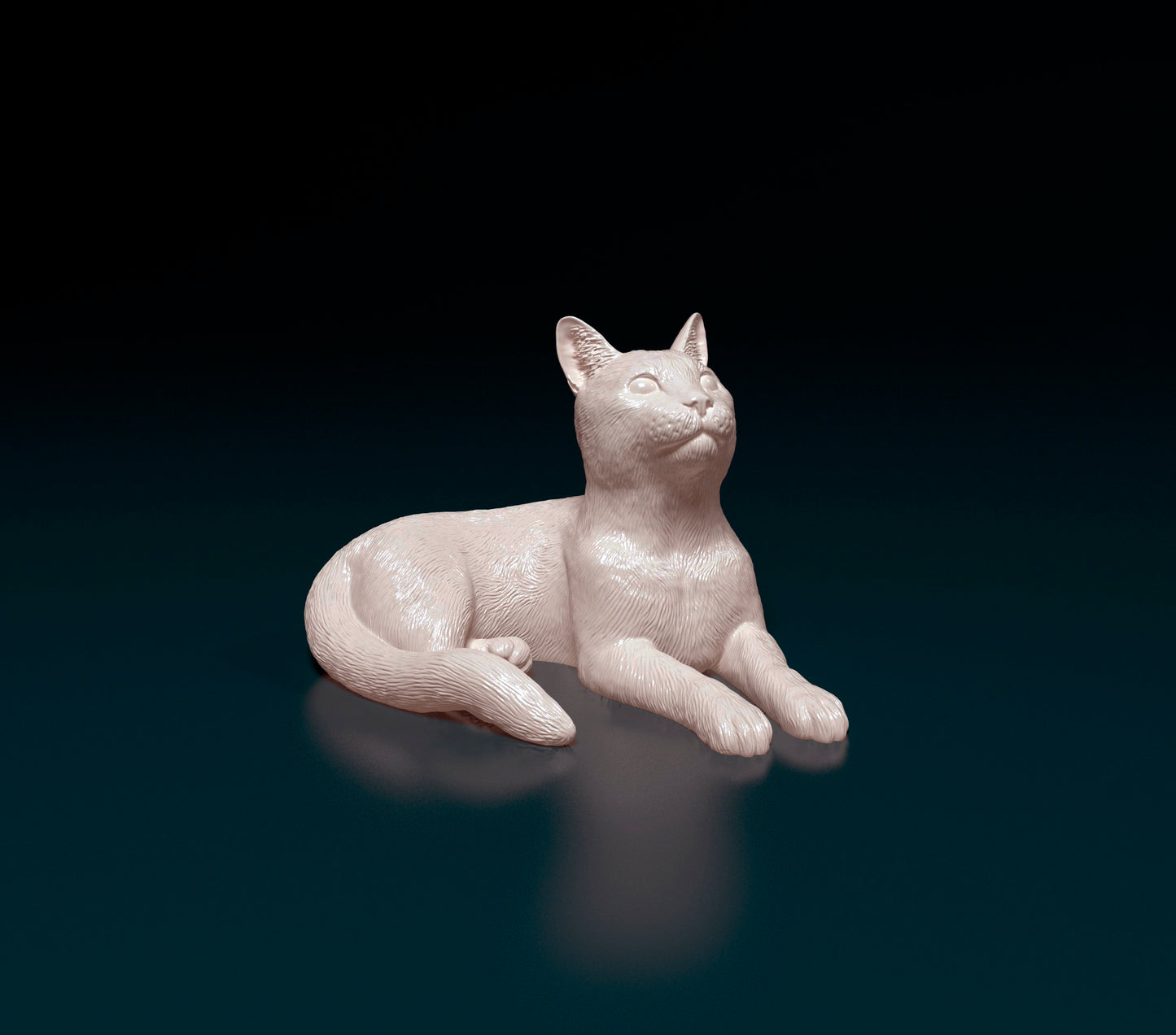 Cat model 2