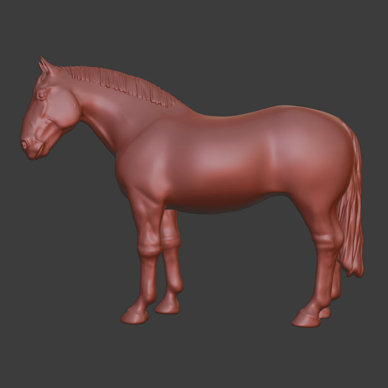 Horse Model 2
