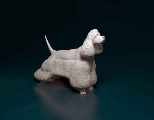 American Cocker Spaniel