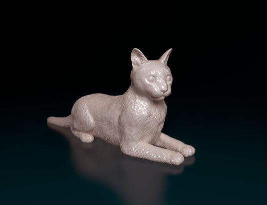 Cat model 3