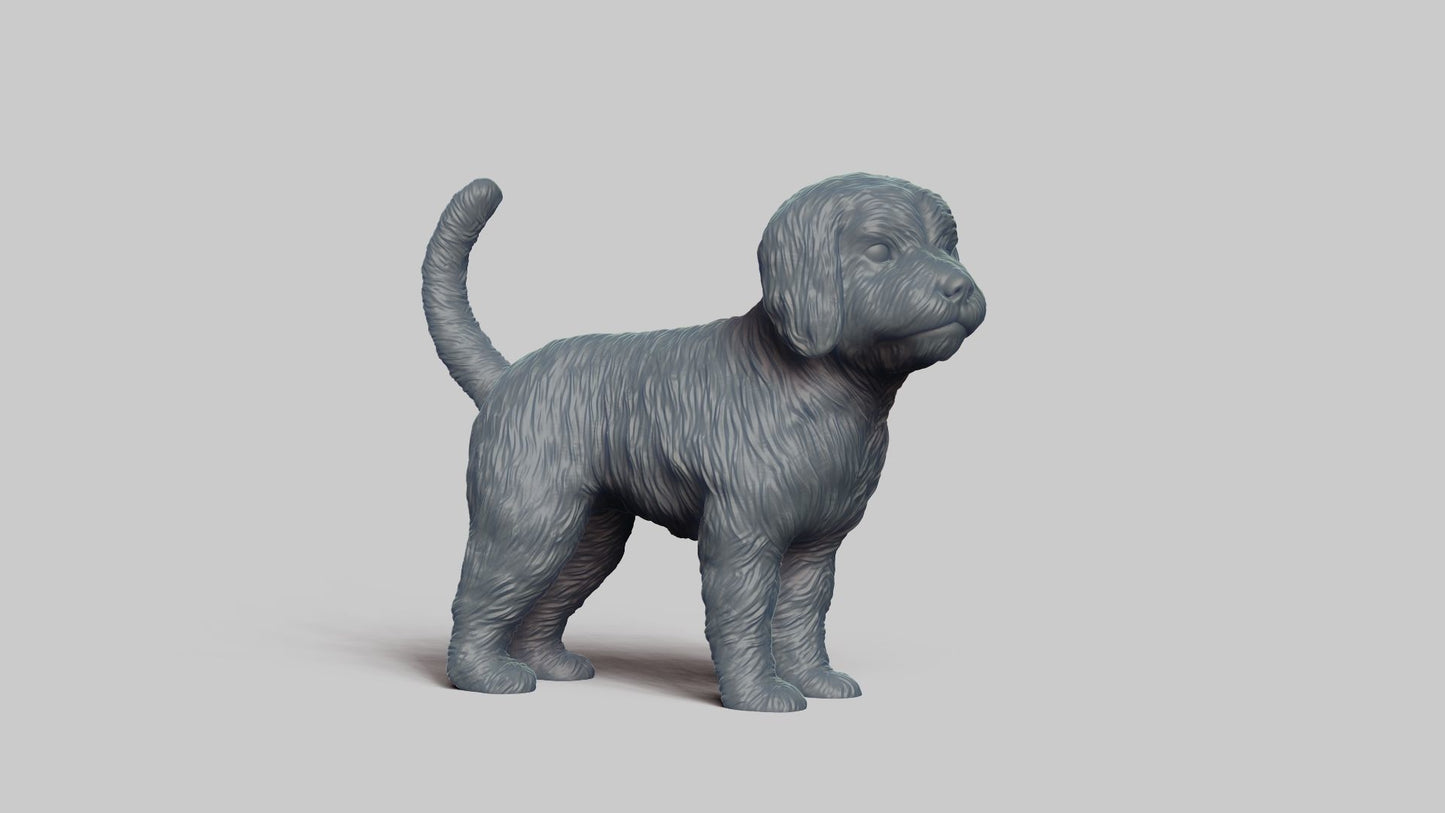 Få 3D printet din hund