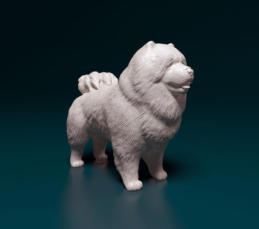 Chow Chow