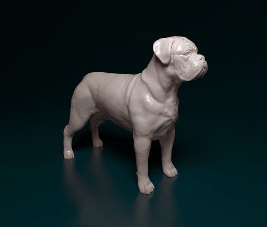 Dogue de Bordeaux