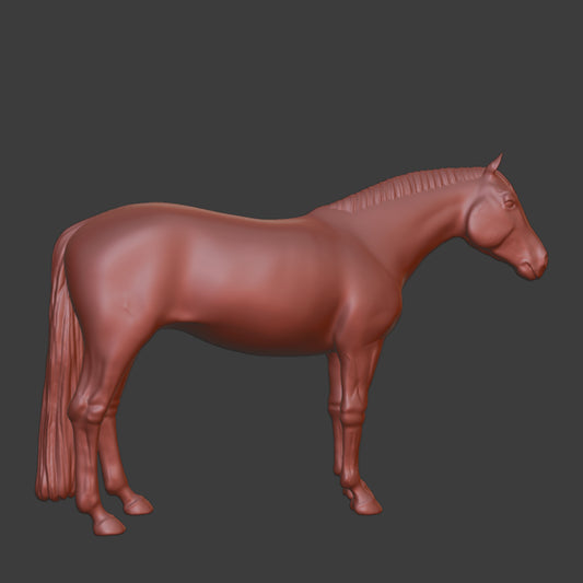 Hest Model 1