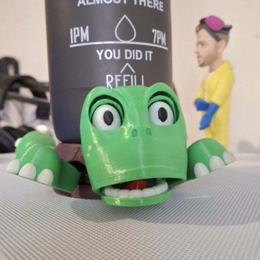 Coaster - Turtle